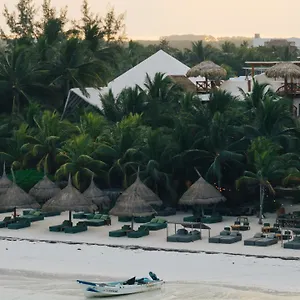 **** Отель Casa Tortugas Petit & Мексика